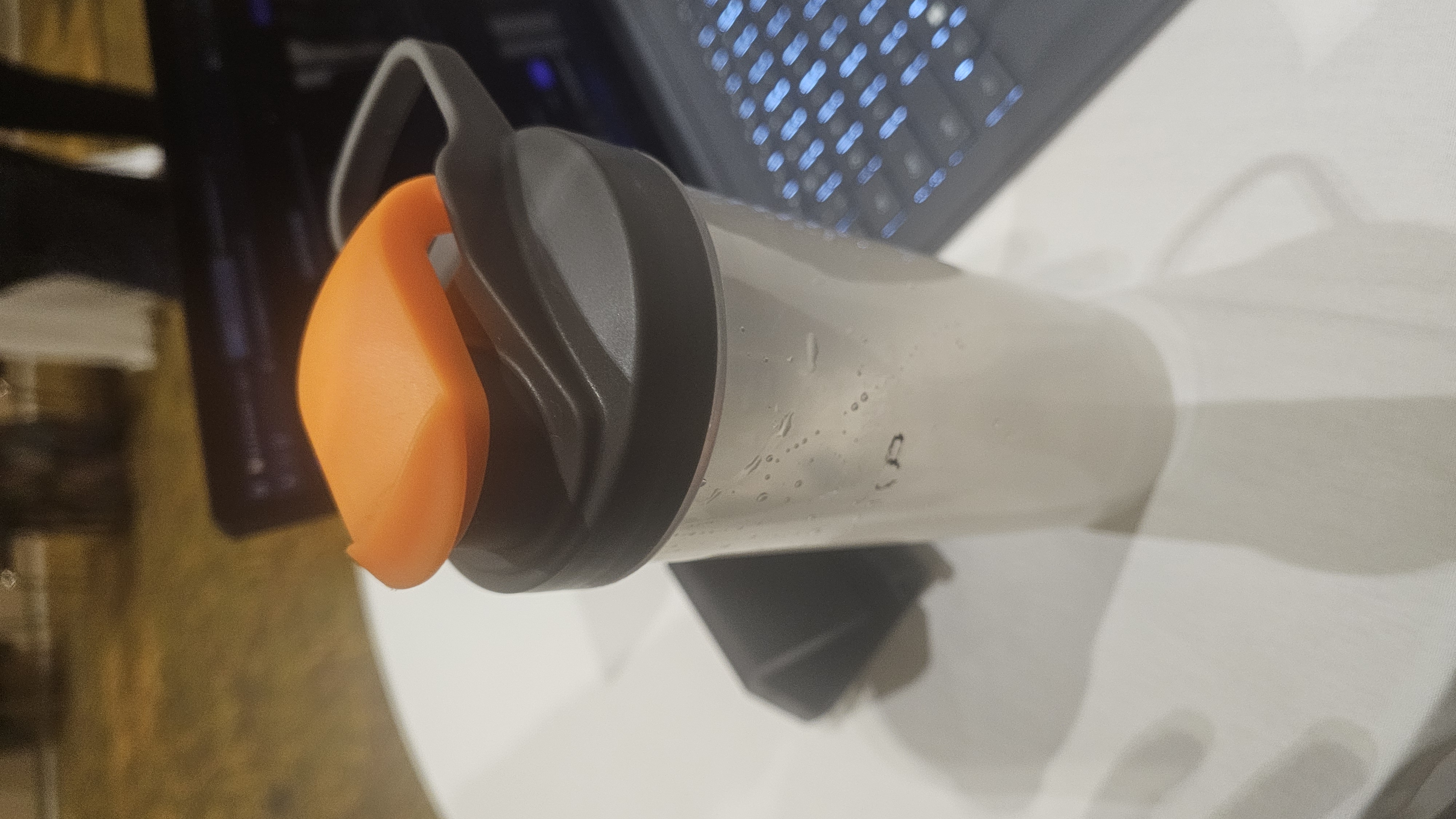 Lost item